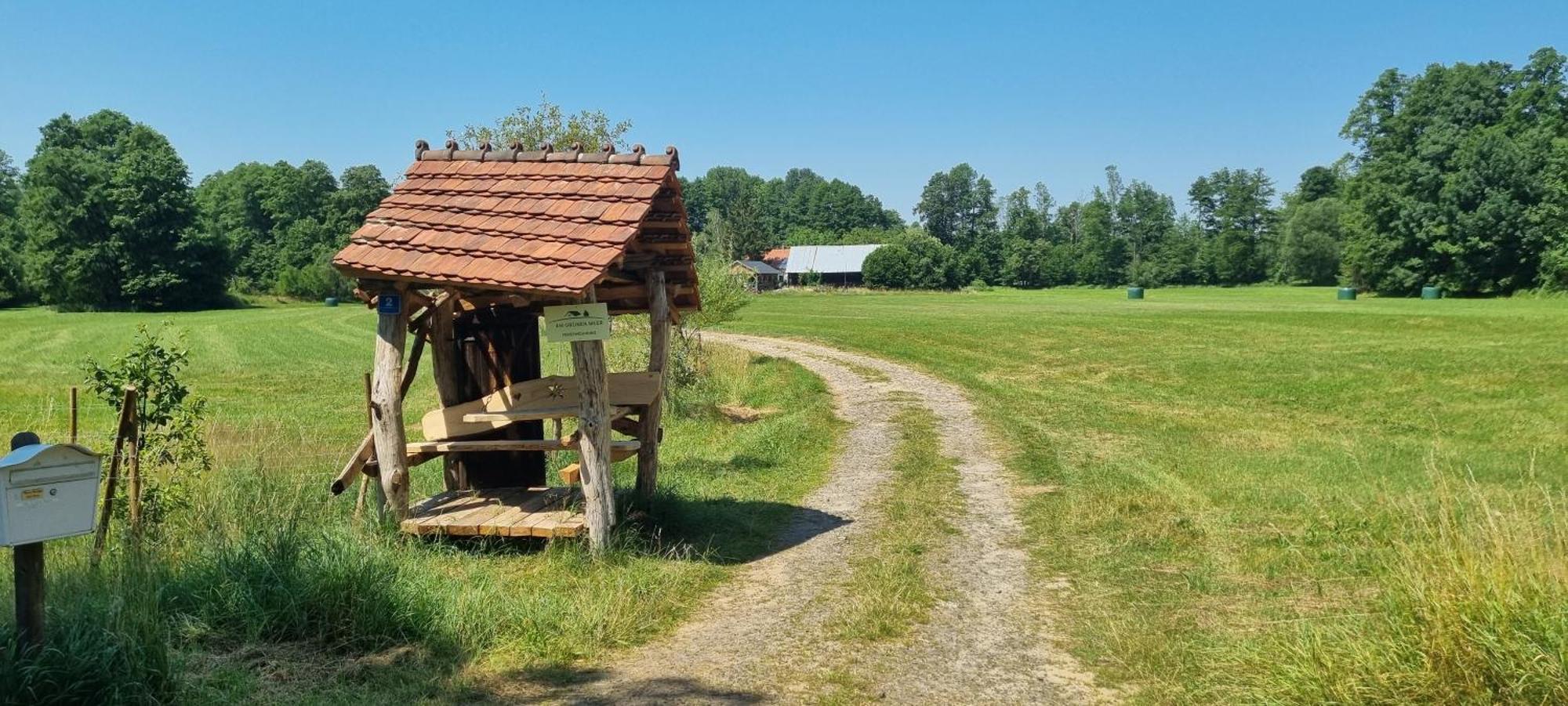 Am Gruenen * Myšyn